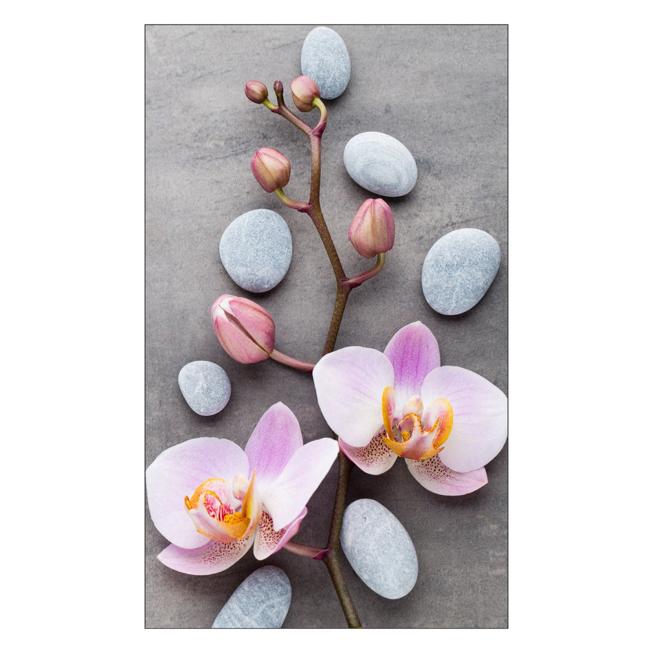 Toilettenrückwand nach maß