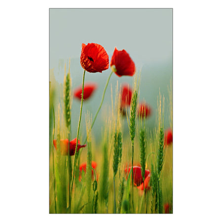 Duschrückwand nach maß