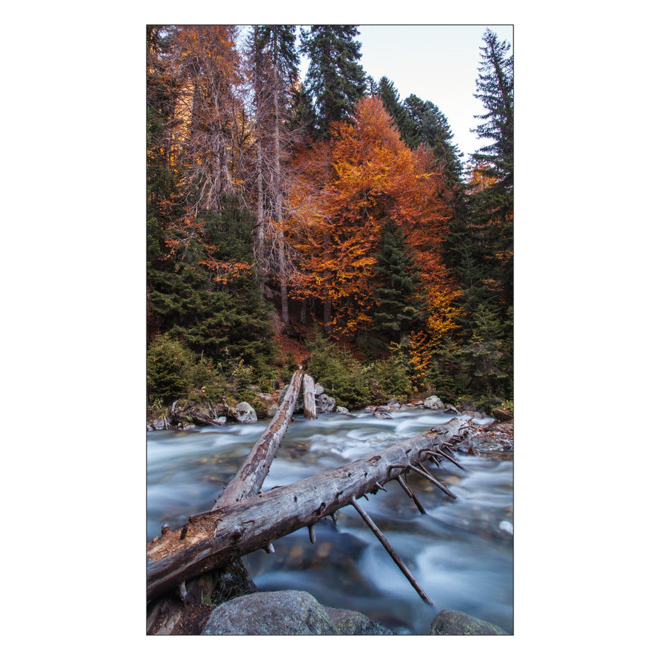 Toilettenrückwand nach maß