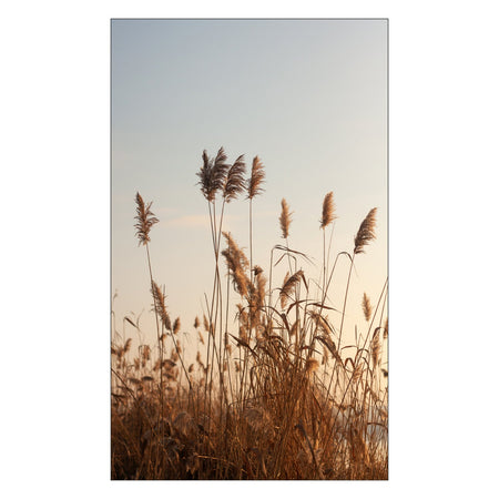 Toilettenrückwand nach maß