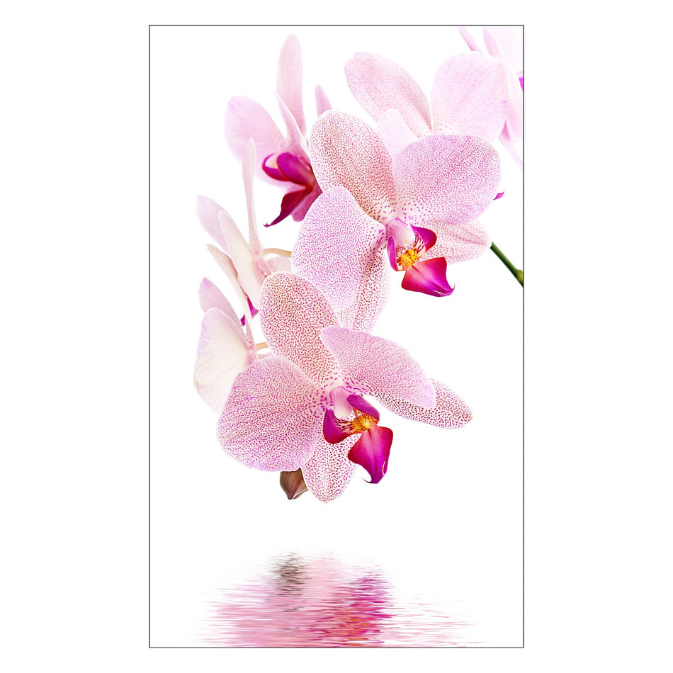 Toilettenrückwand nach maß