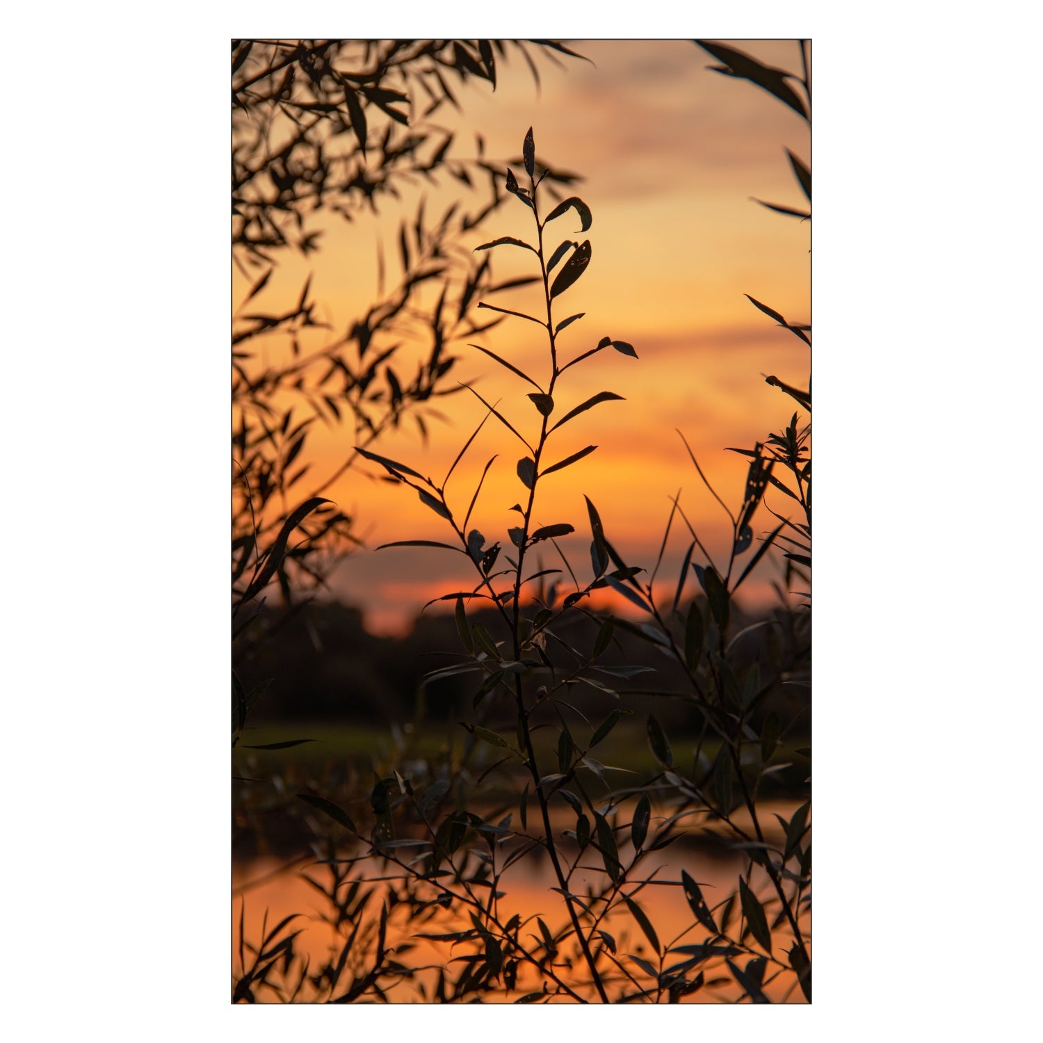 Duschrückwand nach maß