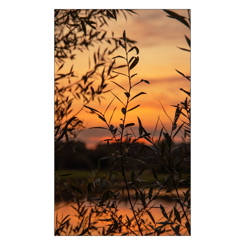 Toilettenrückwand nach maß