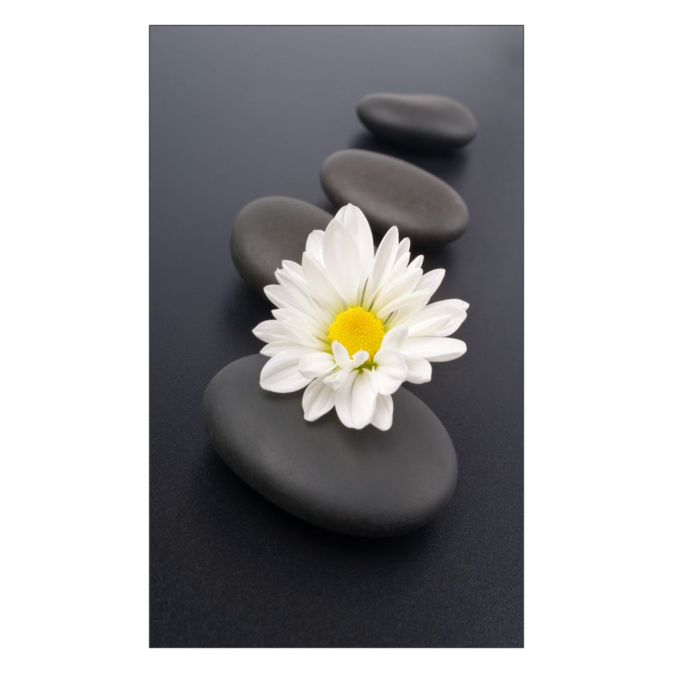 Toilettenrückwand nach maß