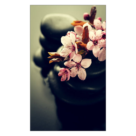 Toilettenrückwand nach maß