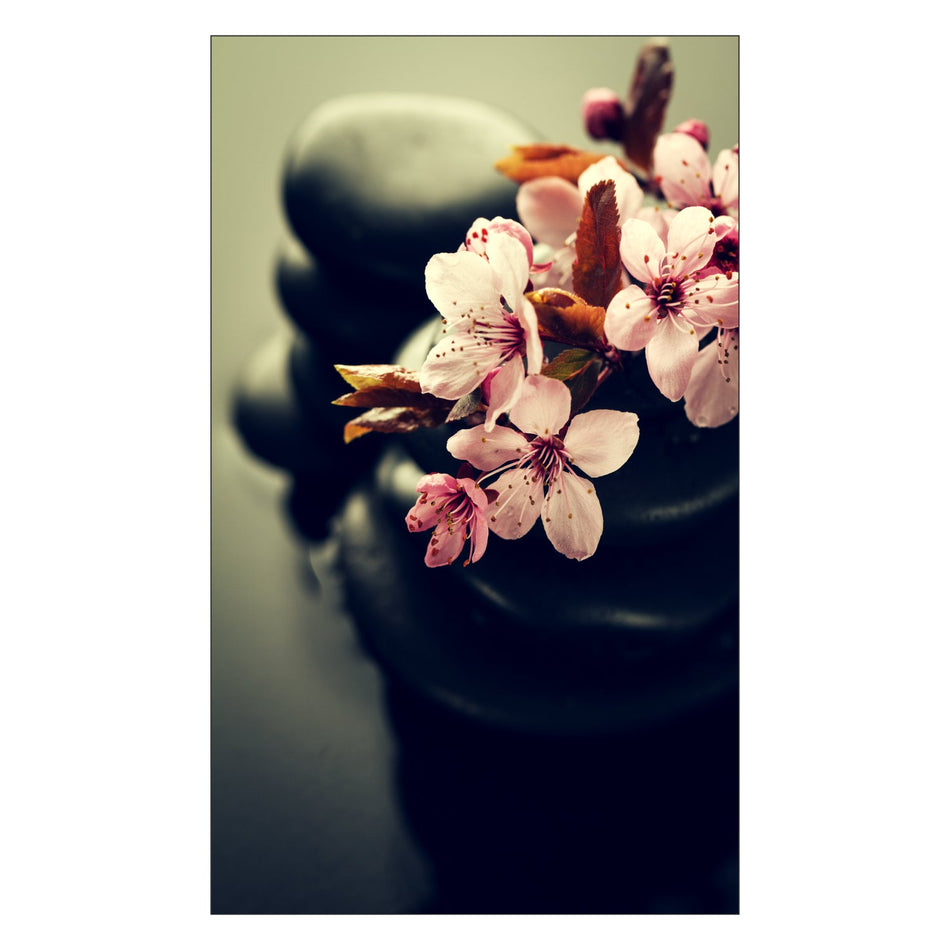 Toilettenrückwand nach maß