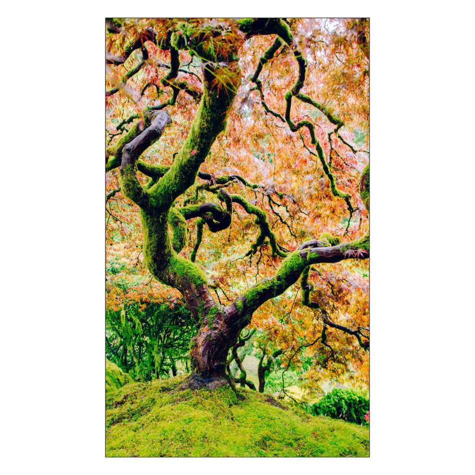 Toilettenrückwand nach maß