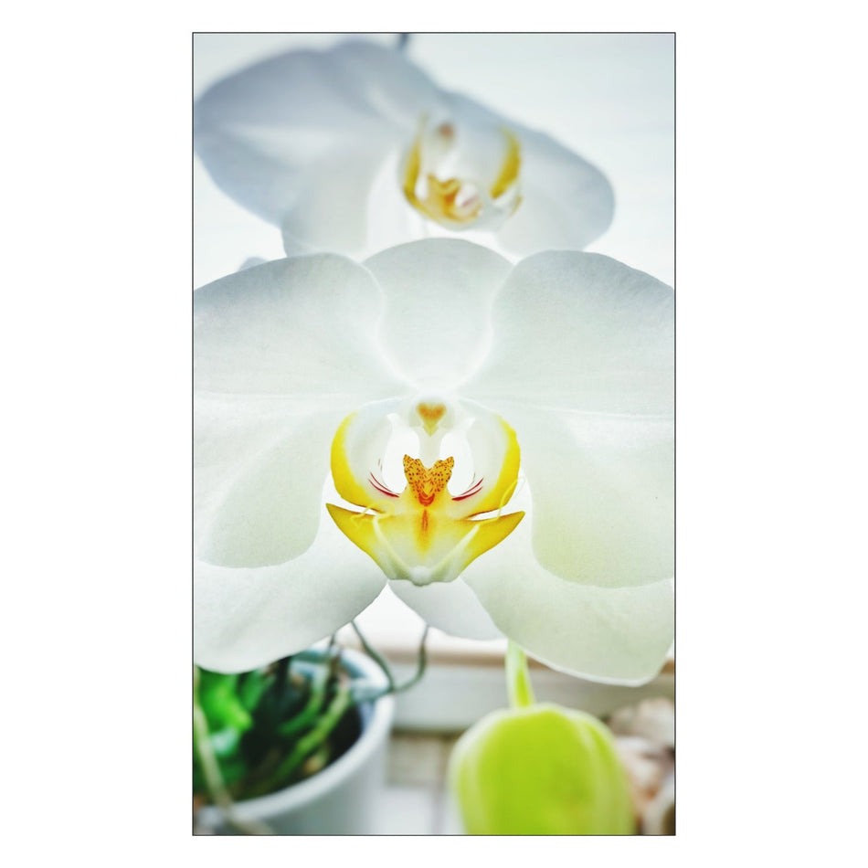 Toilettenrückwand nach maß