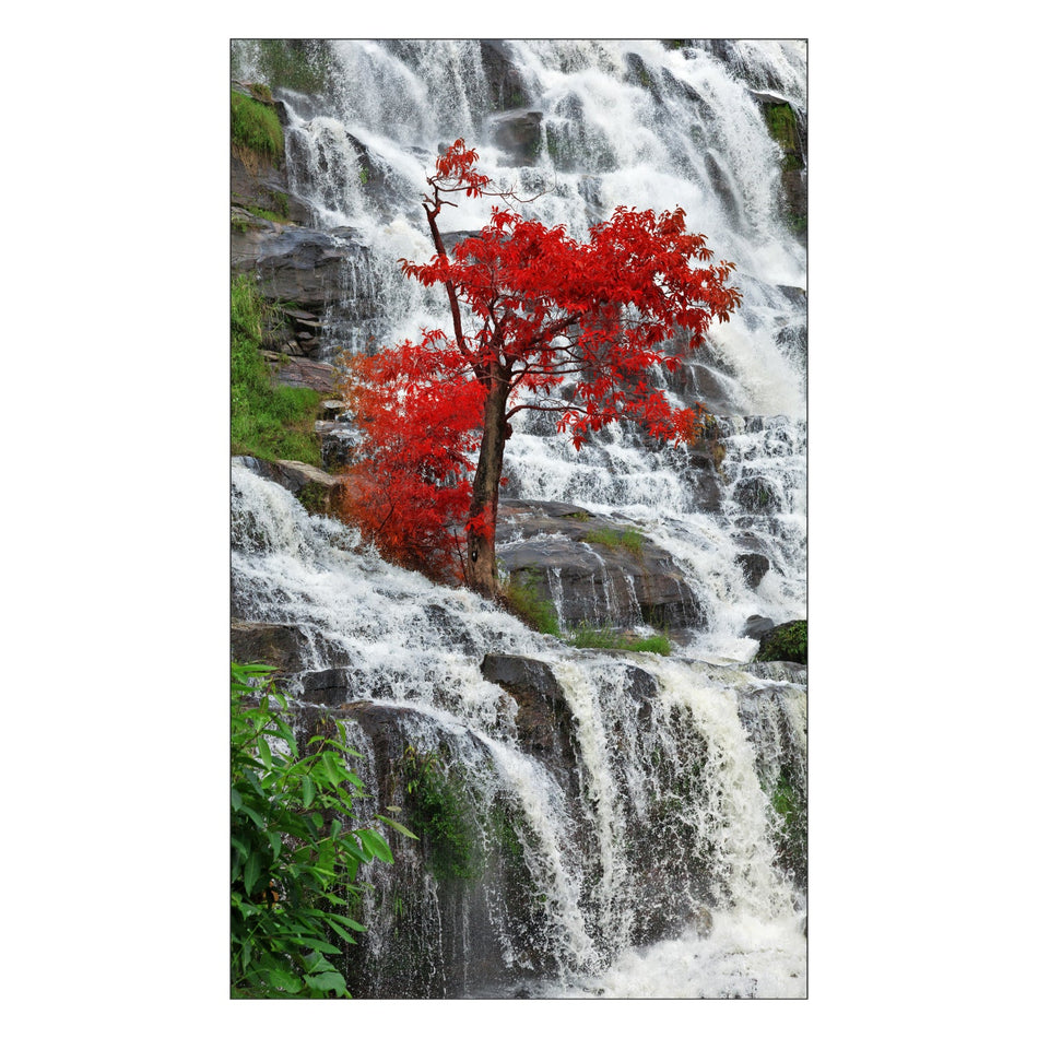 Toilettenrückwand nach maß
