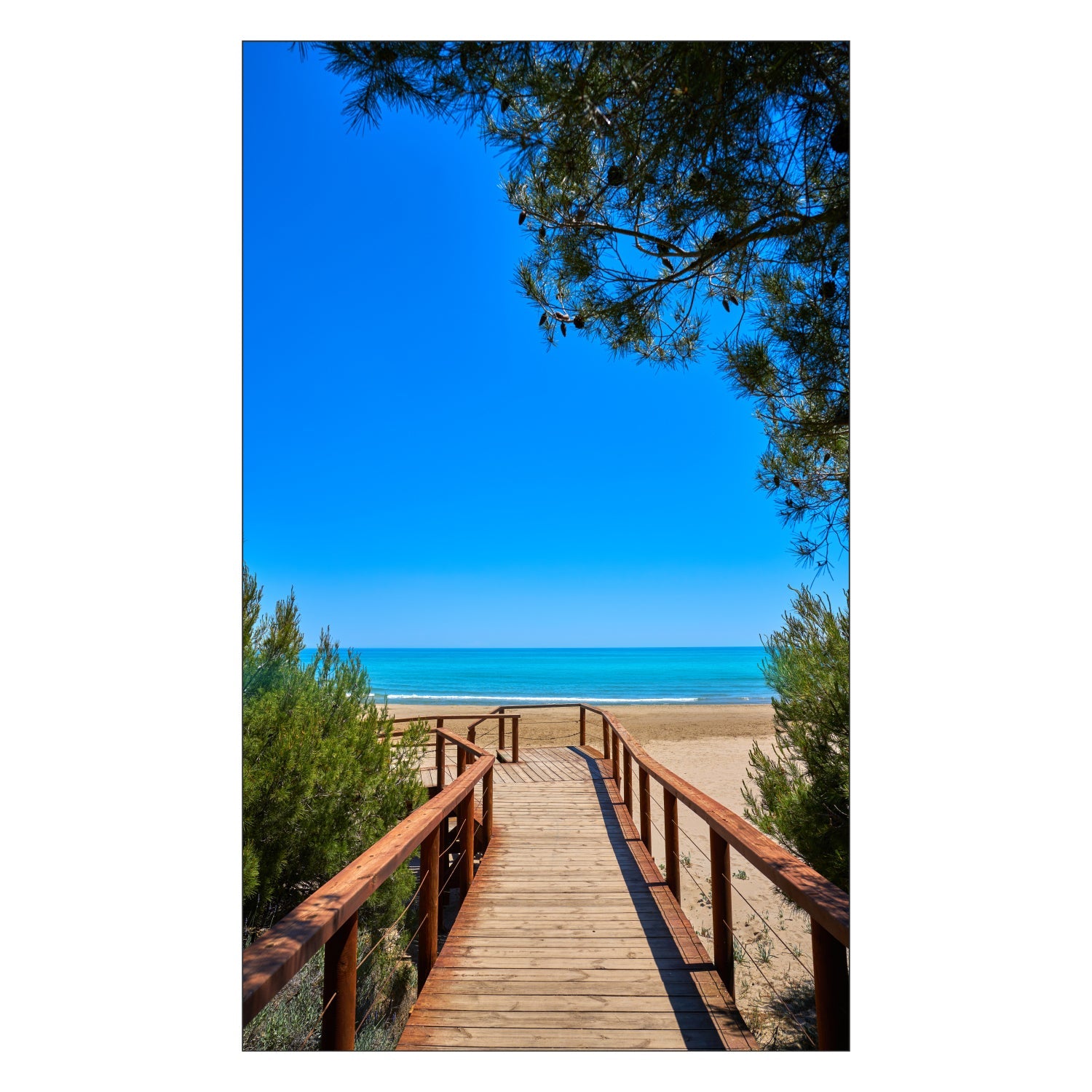 Duschrückwand nach maß