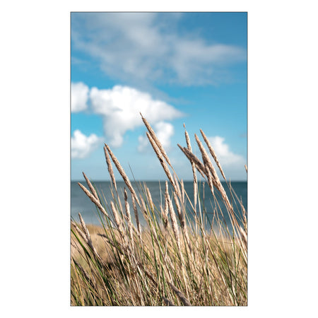 Duschrückwand nach maß