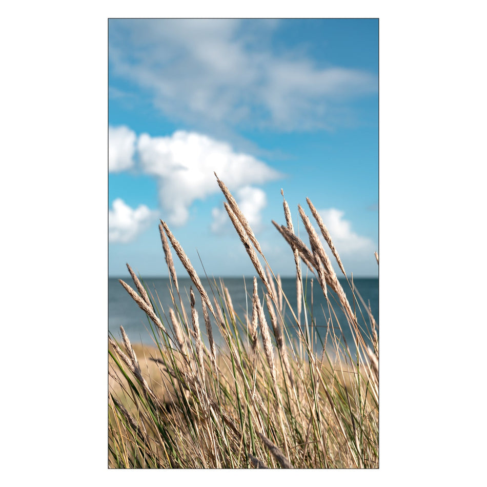 Toilettenrückwand nach maß