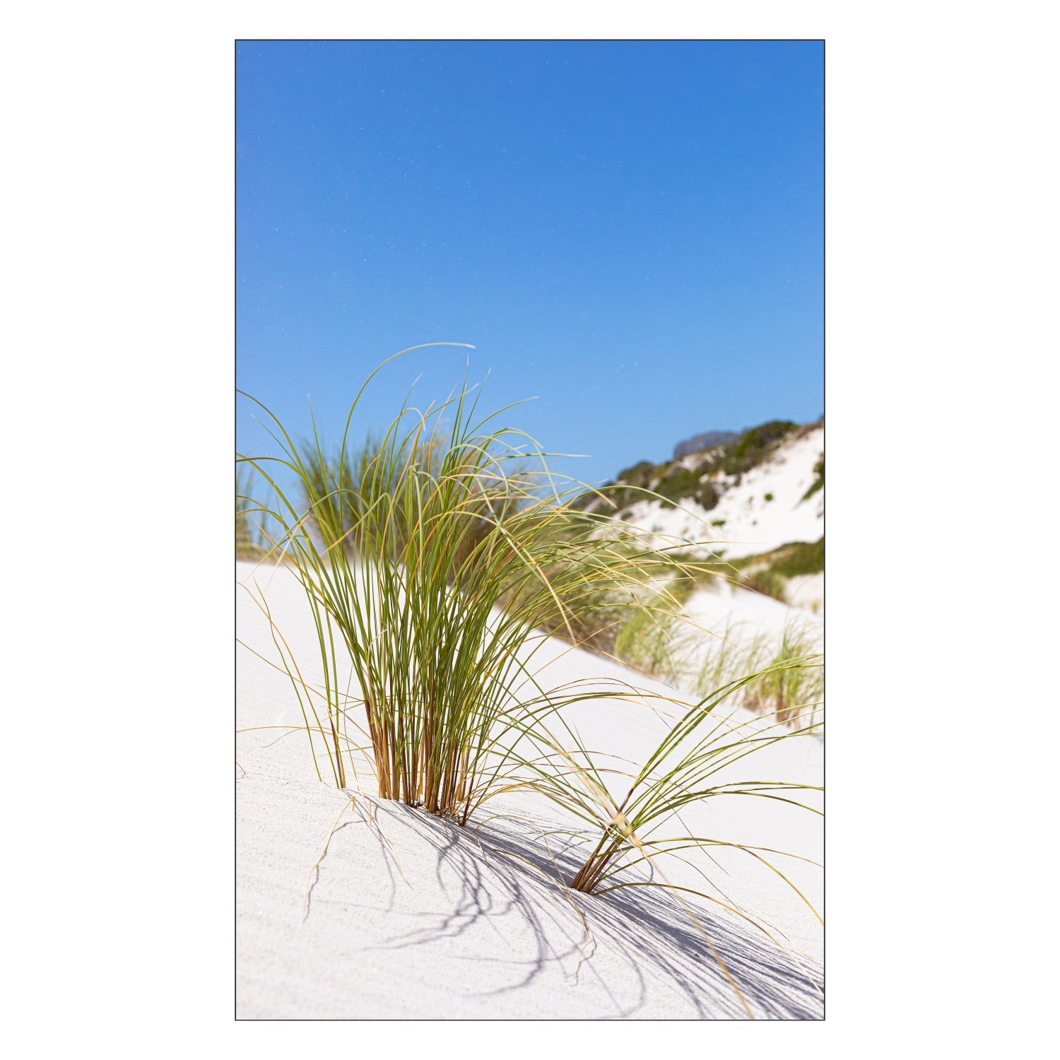 Duschrückwand nach maß