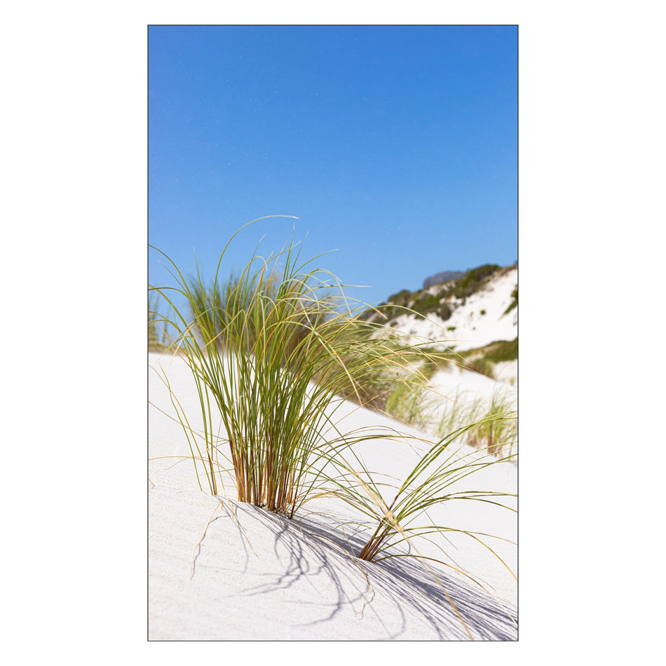 Toilettenrückwand nach maß