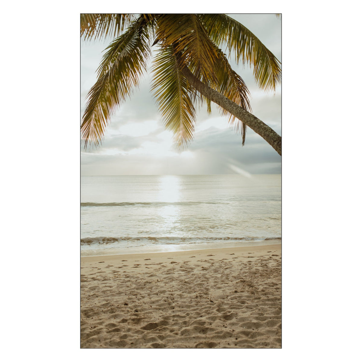 Duschrückwand nach maß