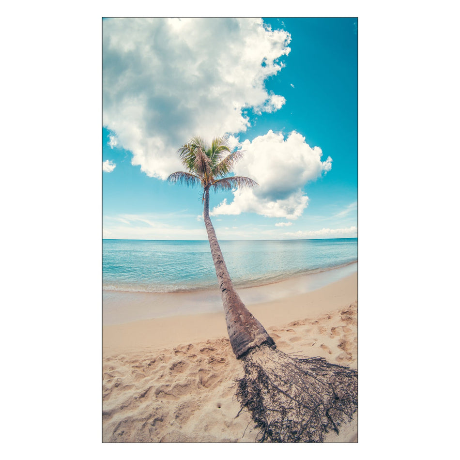 Toilettenrückwand nach maß