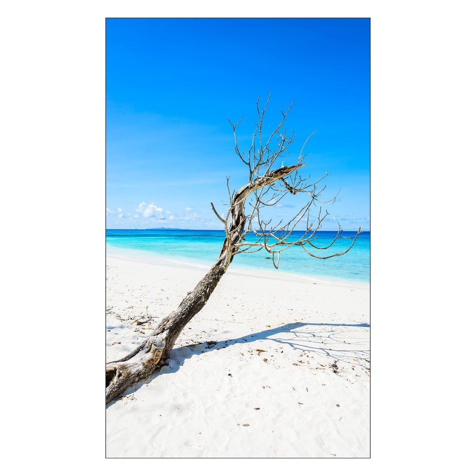 Toilettenrückwand nach maß