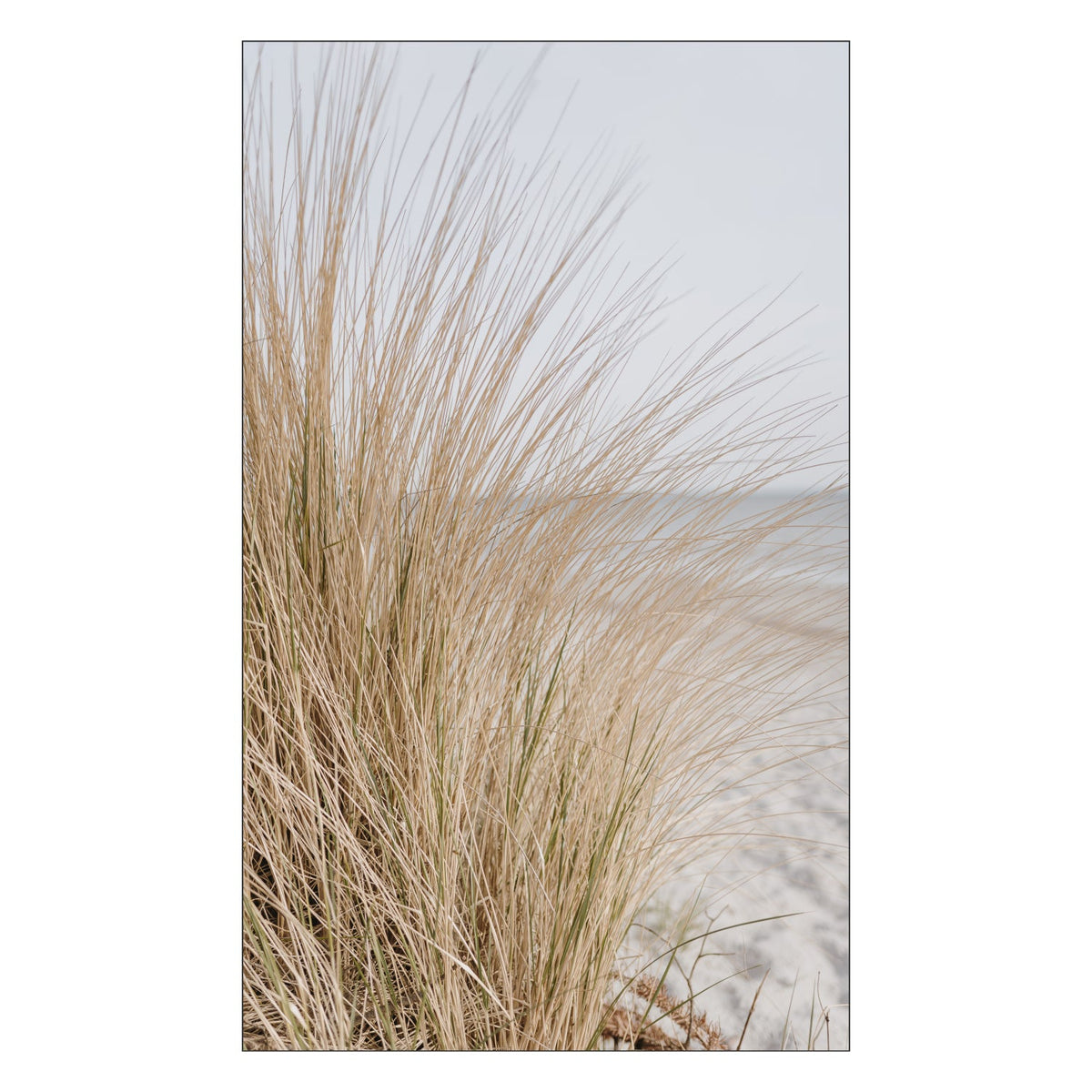 Duschrückwand nach maß