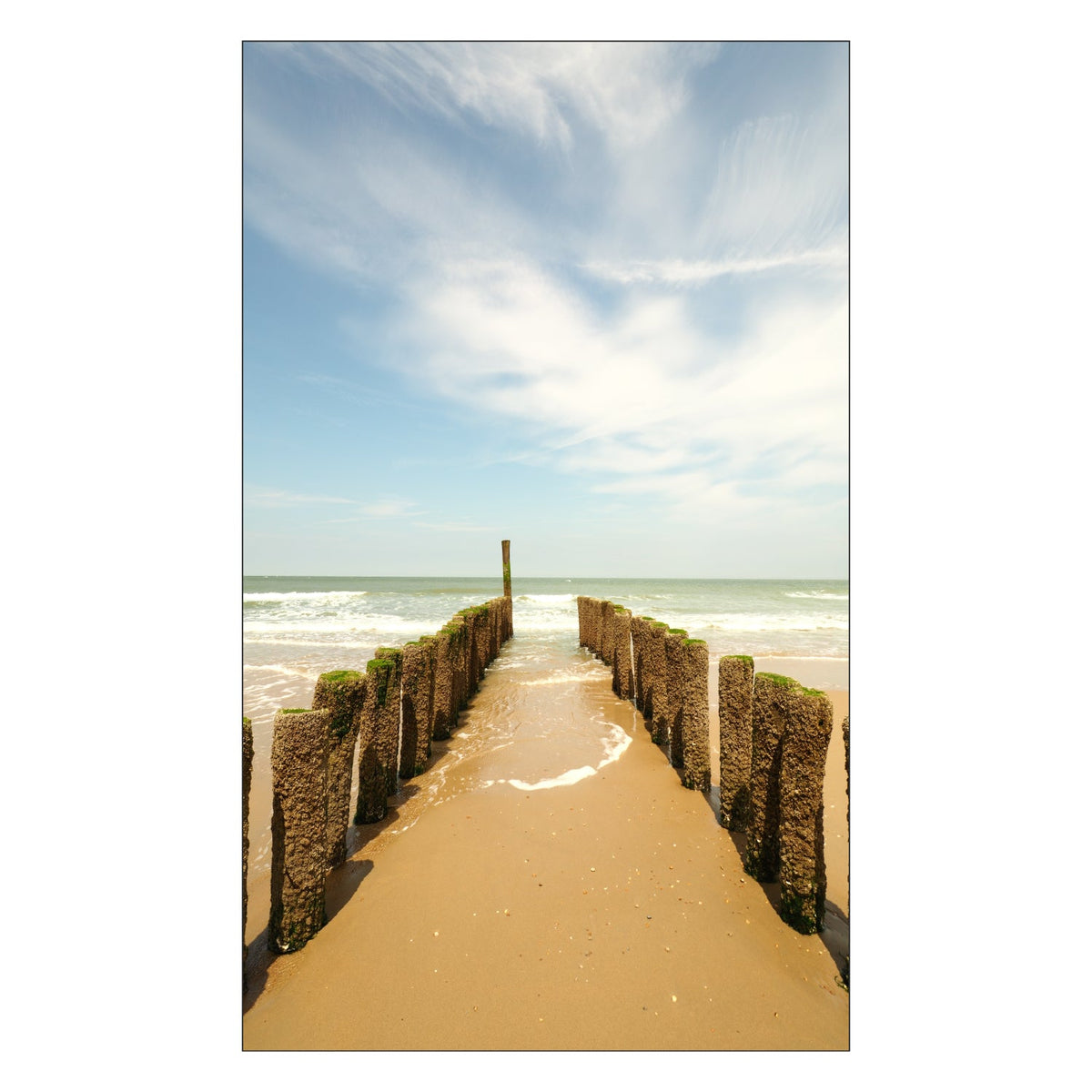 Duschrückwand nach maß