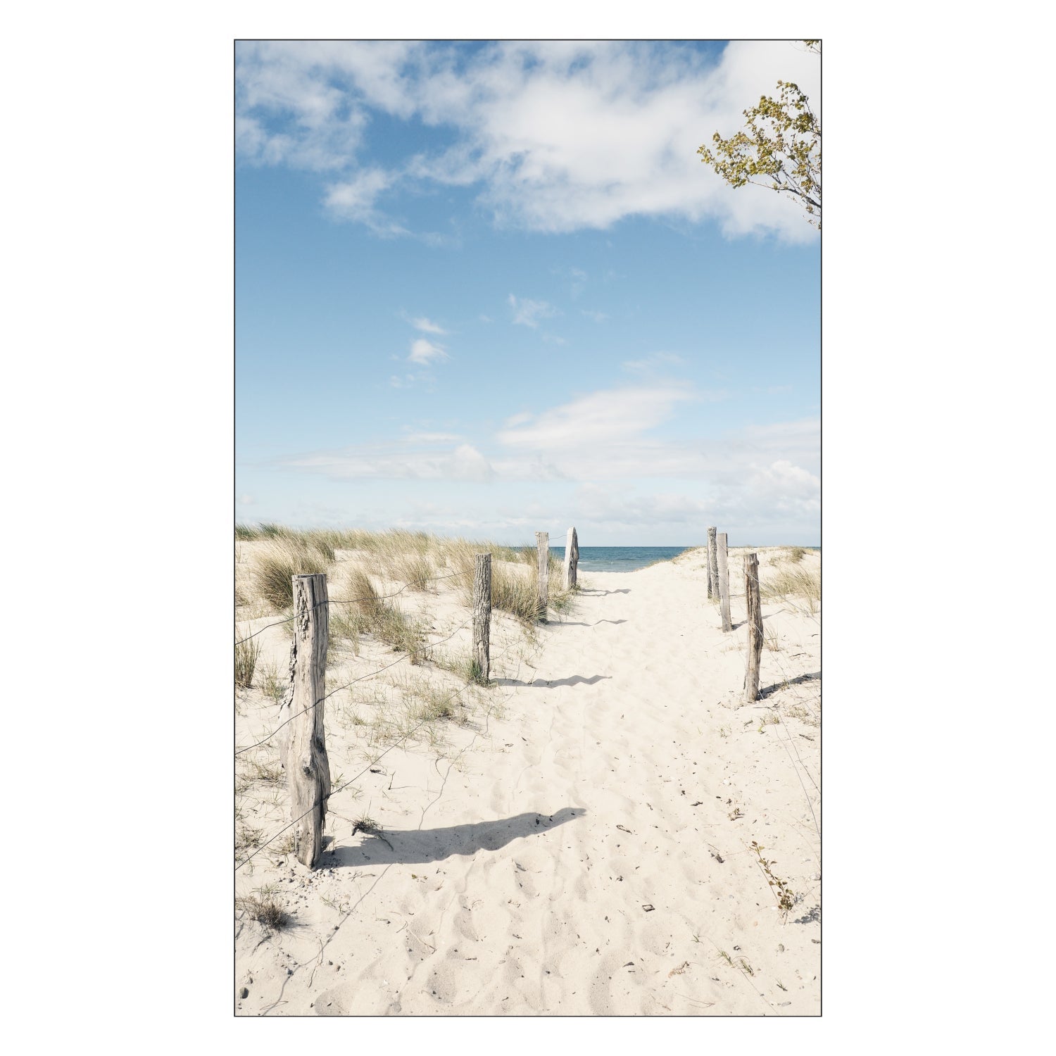 Duschrückwand nach maß