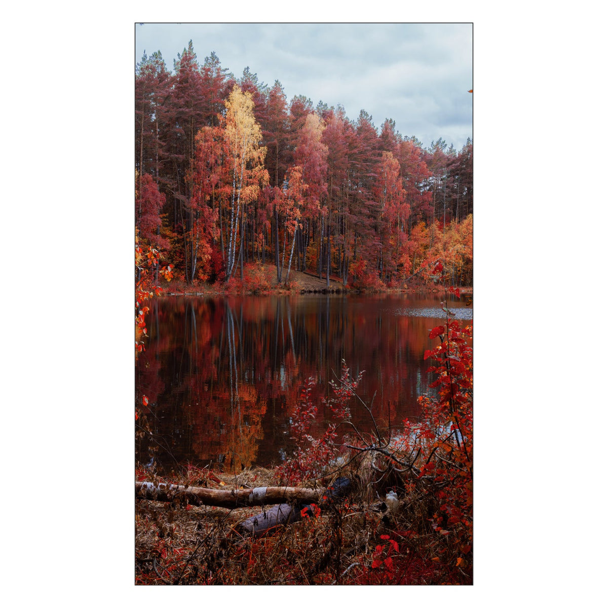 Duschrückwand nach maß