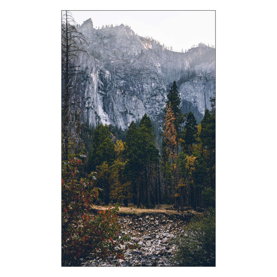 Toilettenrückwand nach maß