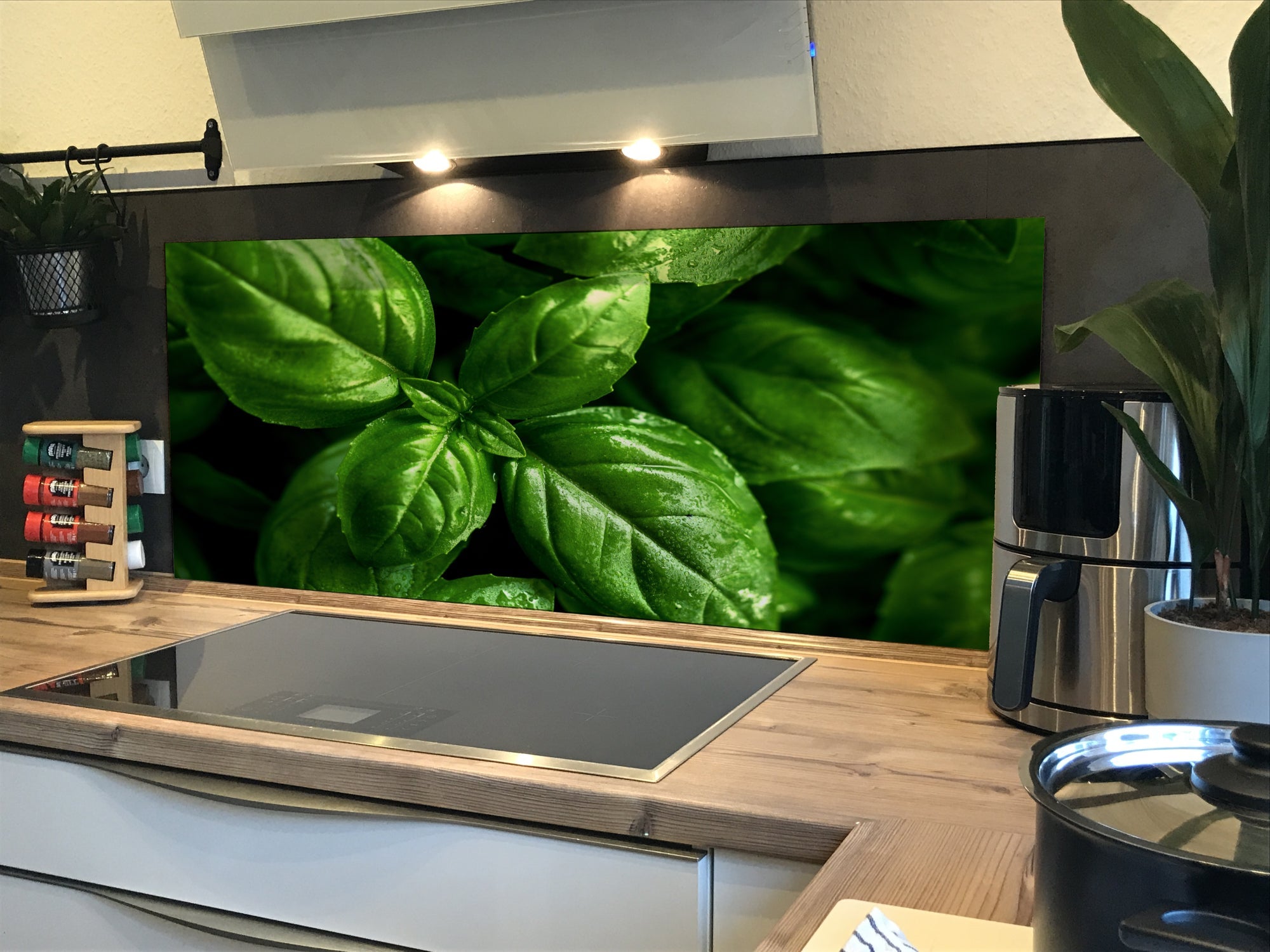 Spritzschutz Küche Basilikum