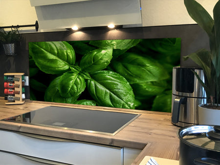 Spritzschutz Küche Basilikum