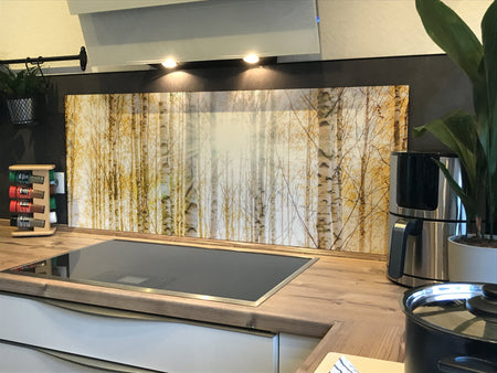 Spritzschutz Küche Birkenwald Sonnenlicht