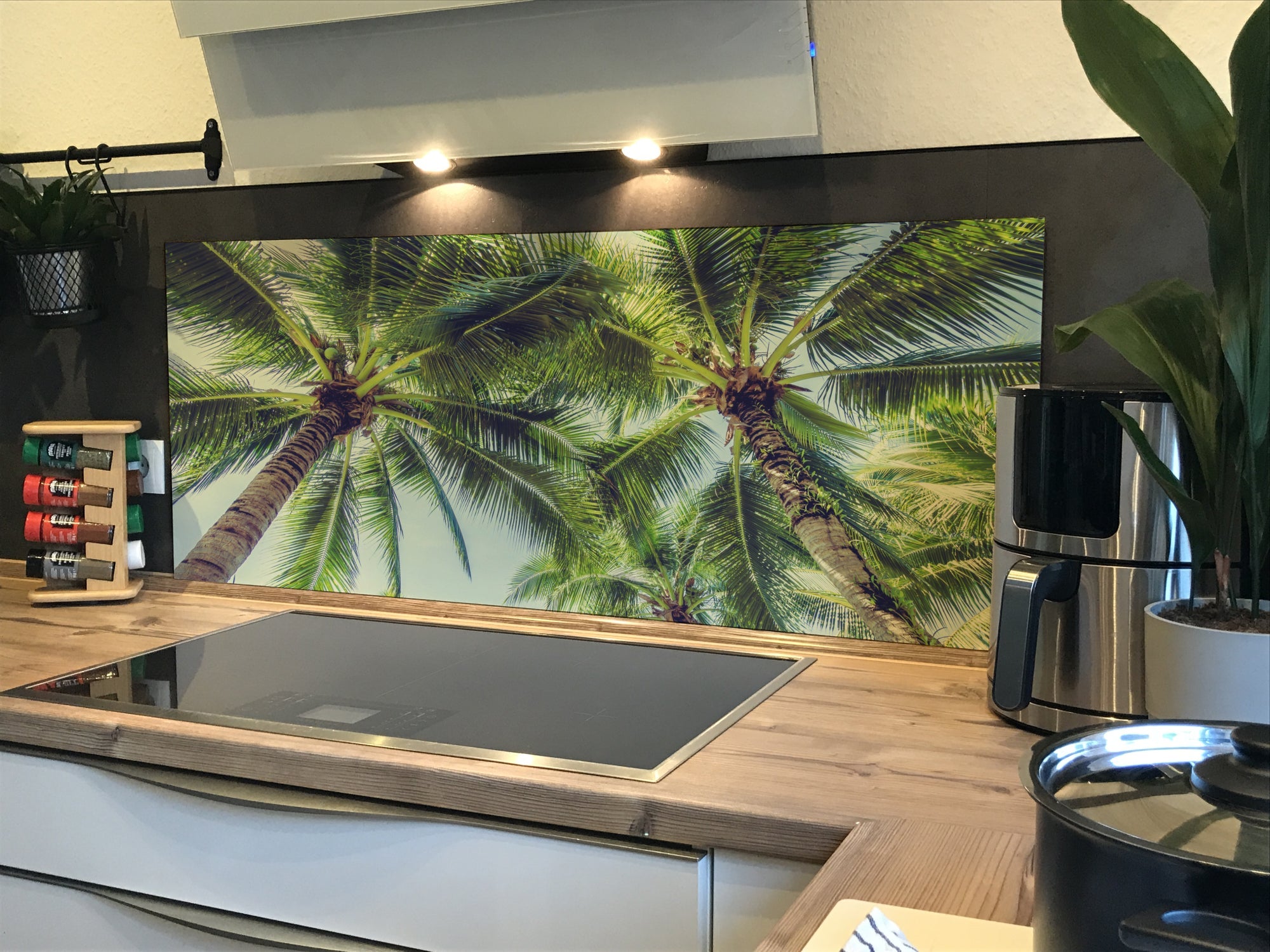 Spritzschutz Küche Palmen