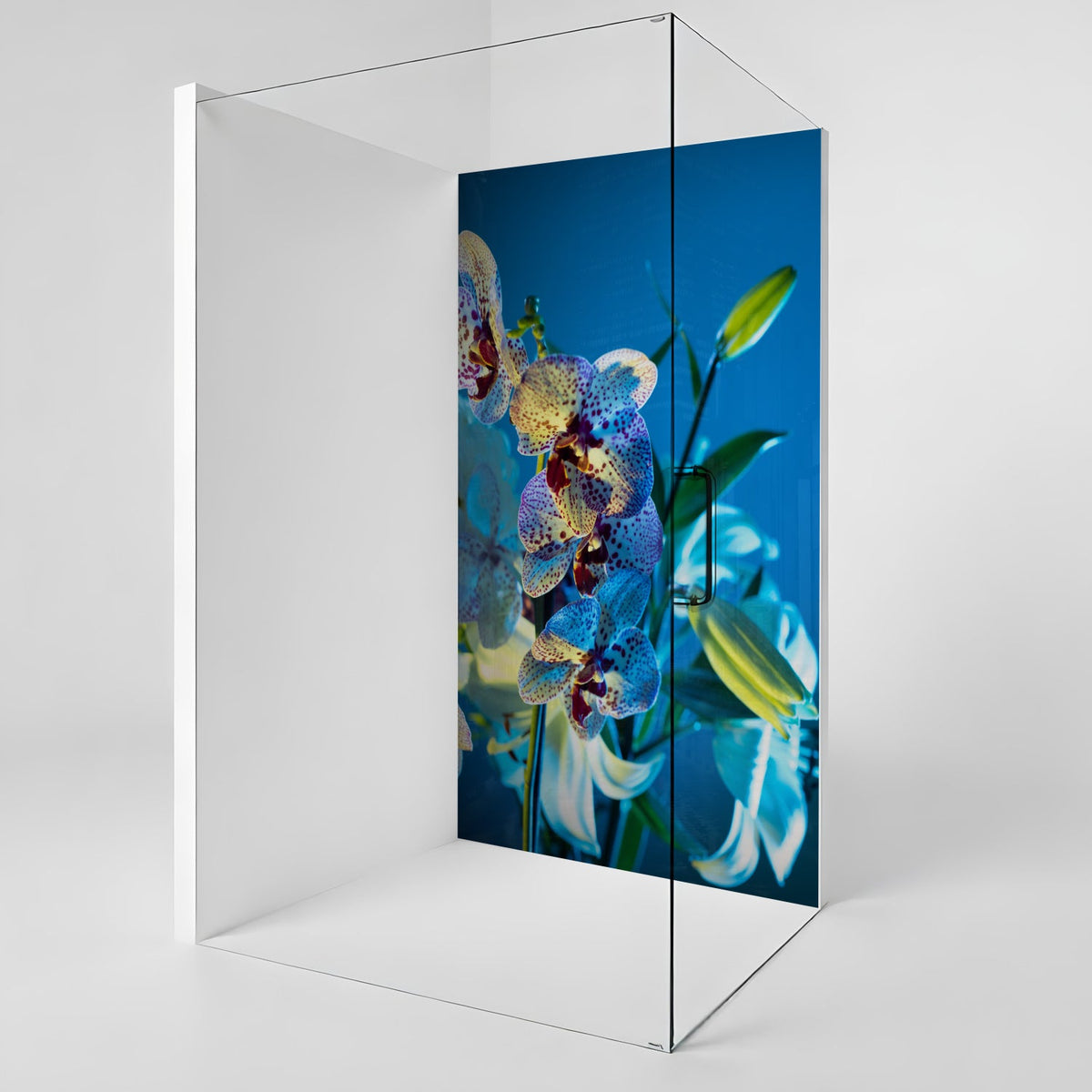 Duschrückwand nach maß