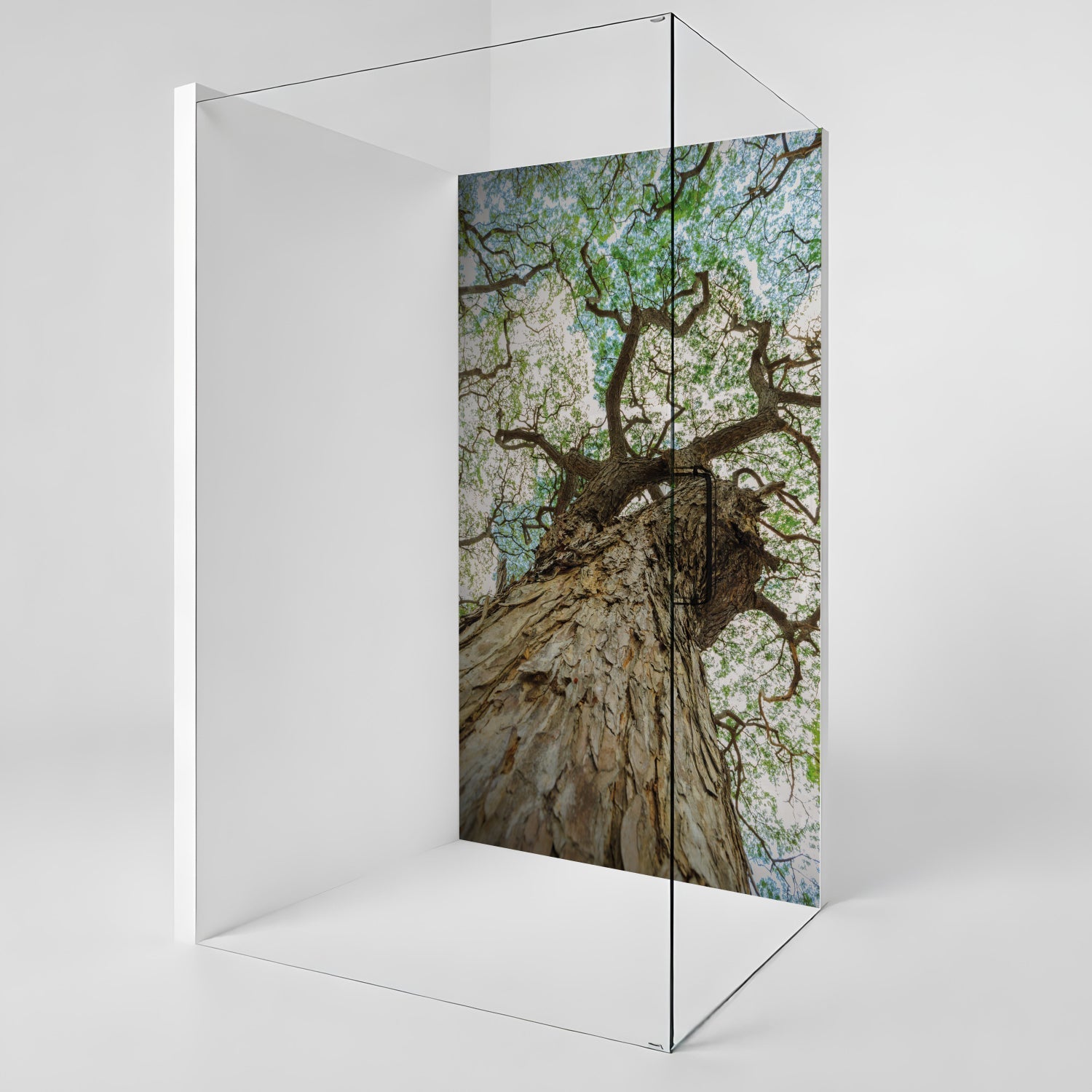 Duschrückwand nach maß