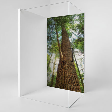 Duschrückwand nach maß