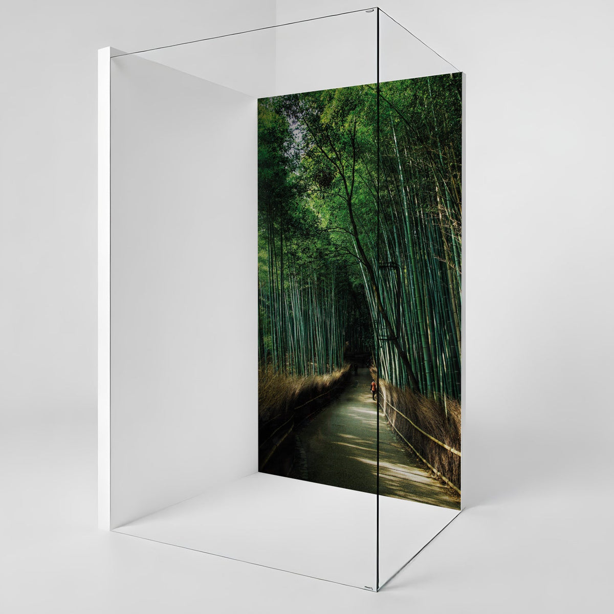 Duschrückwand nach maß