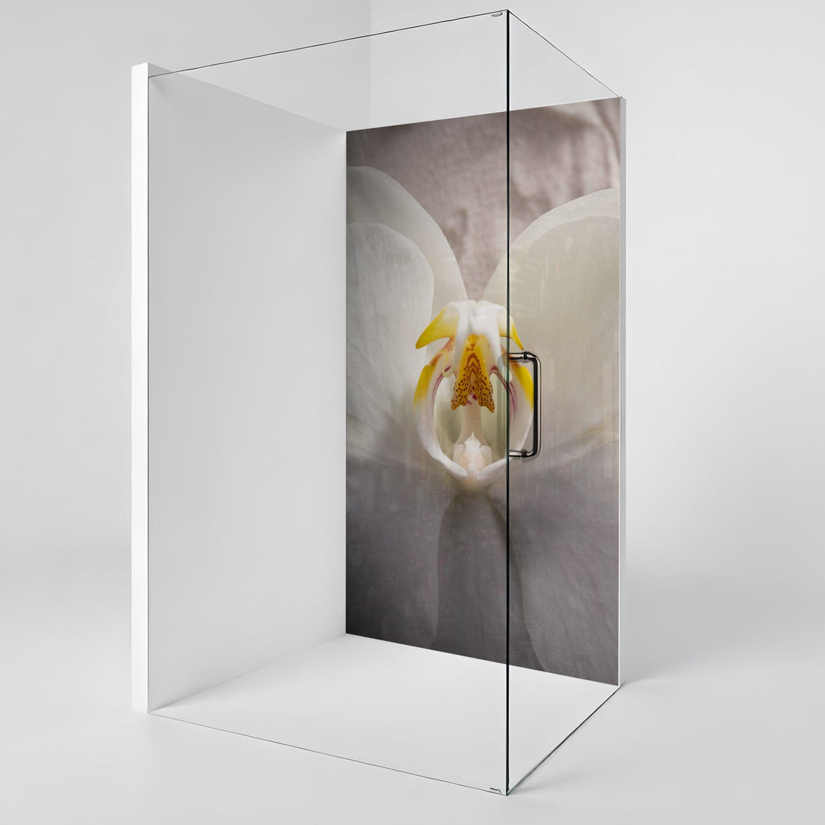 Duschrückwand nach maß