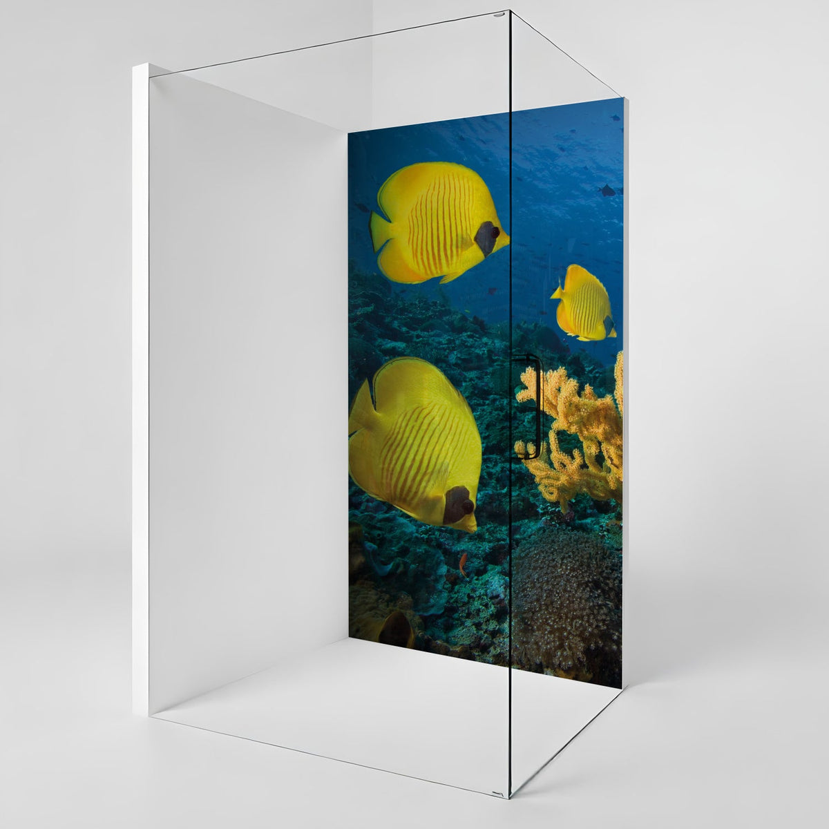 Duschrückwand nach maß