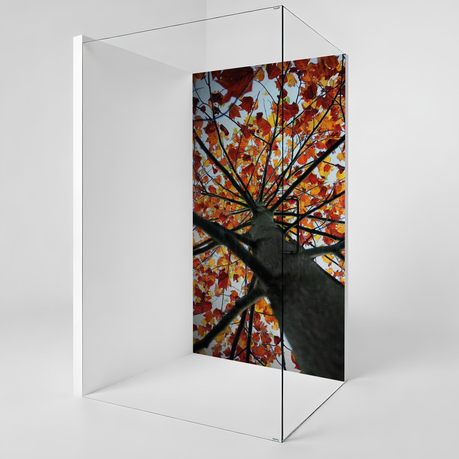 Duschrückwand nach maß