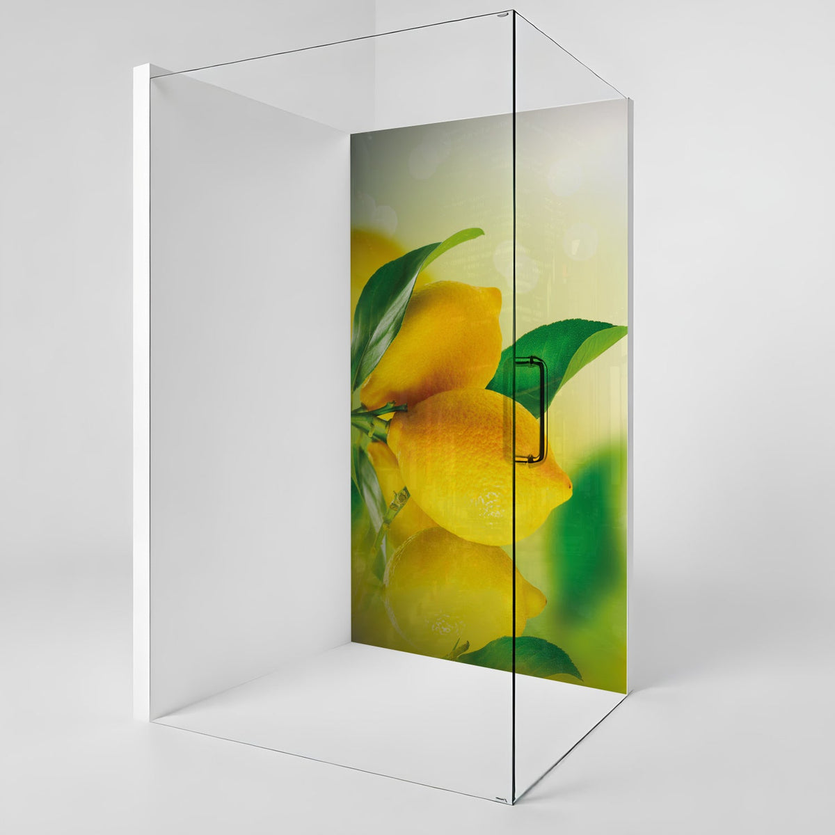 Duschrückwand nach maß