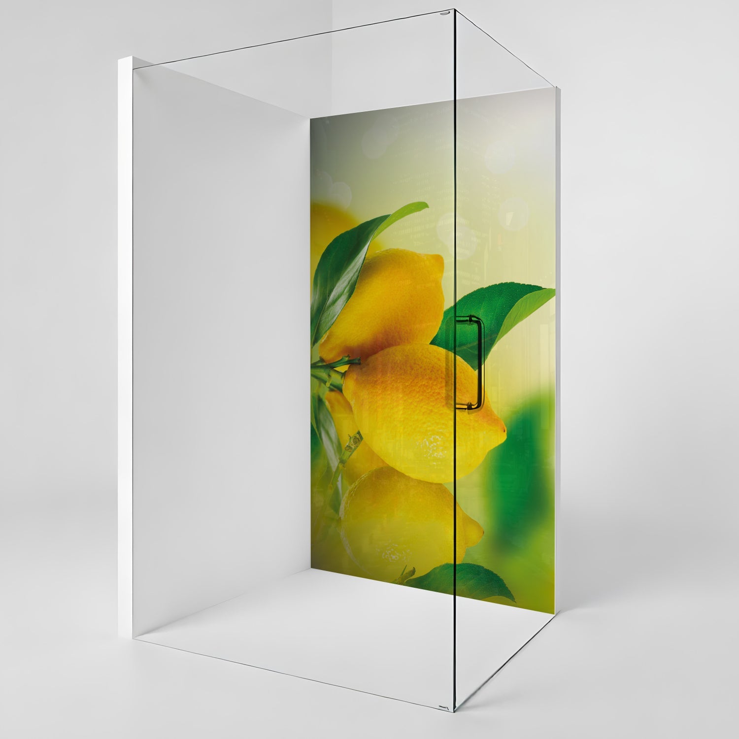 Duschrückwand nach maß