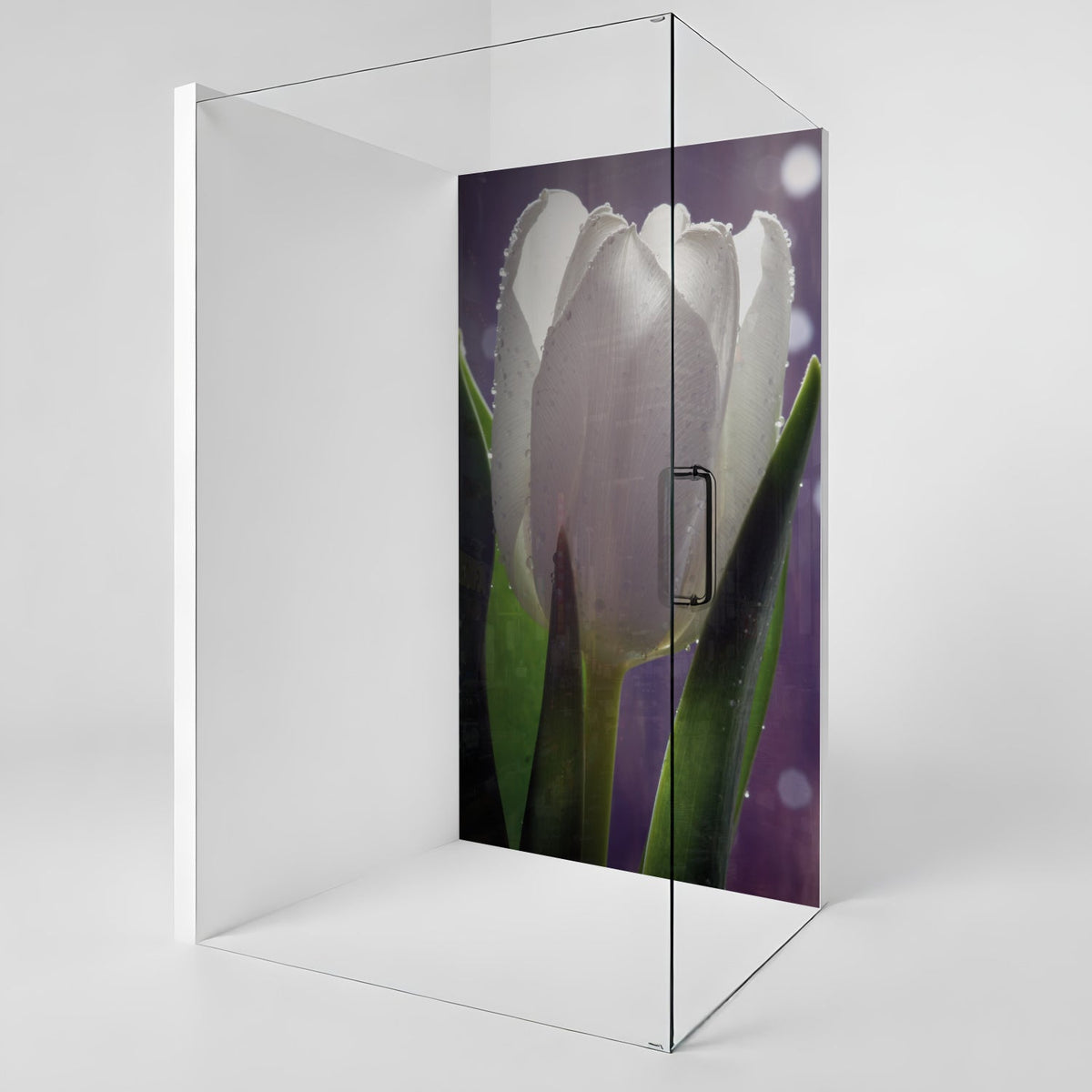 Duschrückwand nach maß