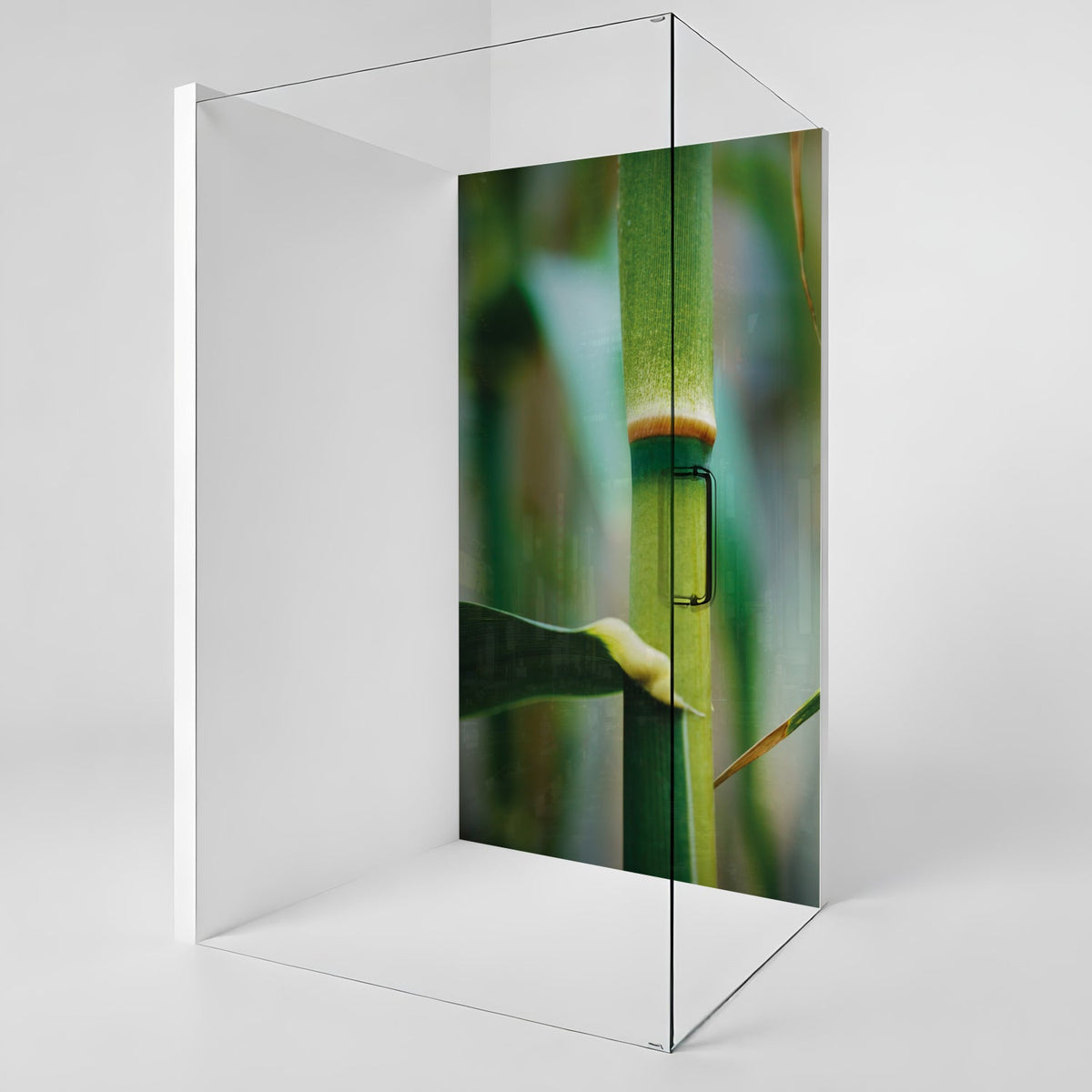 Duschrückwand nach maß