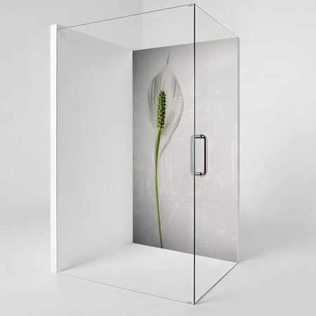 Duschrückwand nach maß