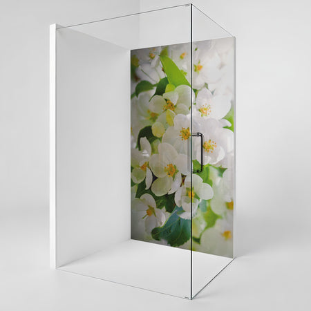 Duschrückwand nach maß