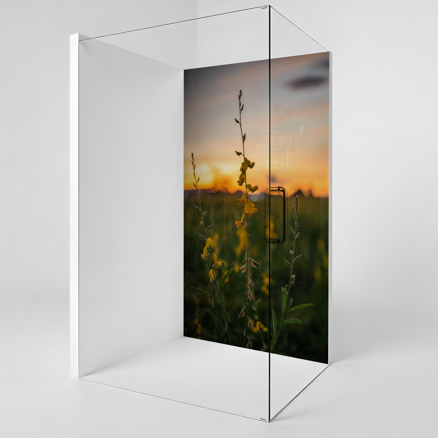 Duschrückwand nach maß