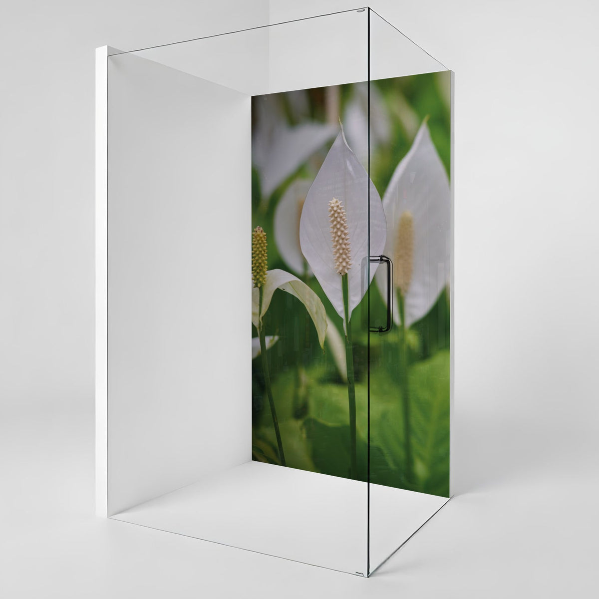 Duschrückwand nach maß