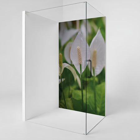 Duschrückwand nach maß