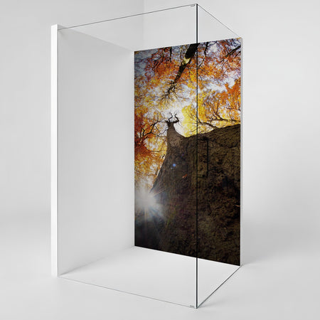 Duschrückwand nach maß