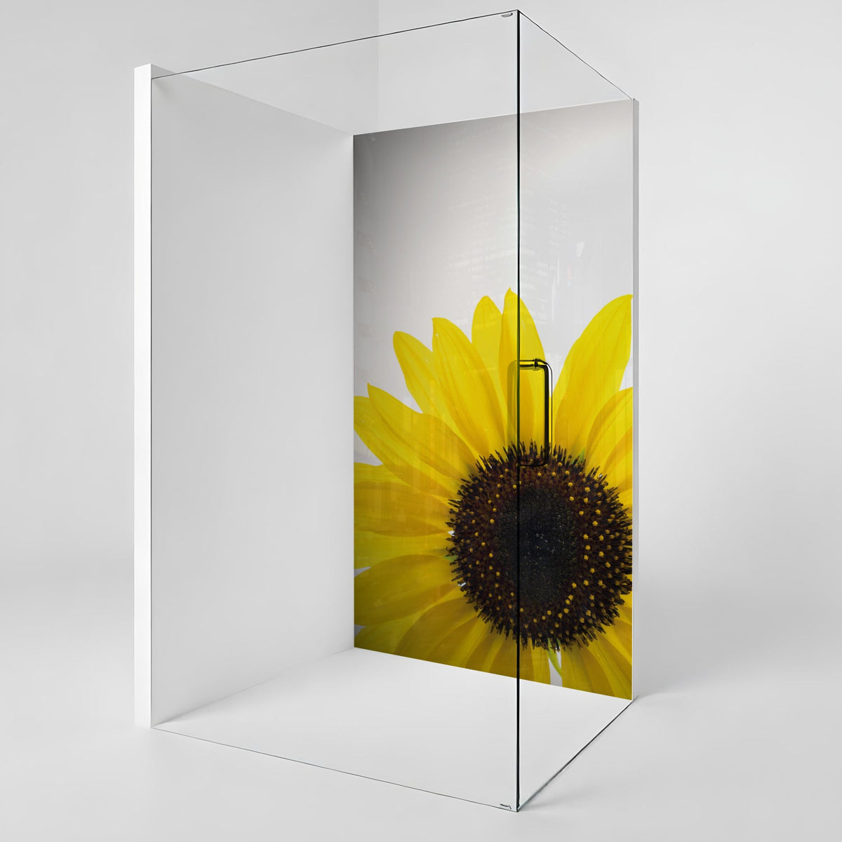 Duschrückwand nach maß