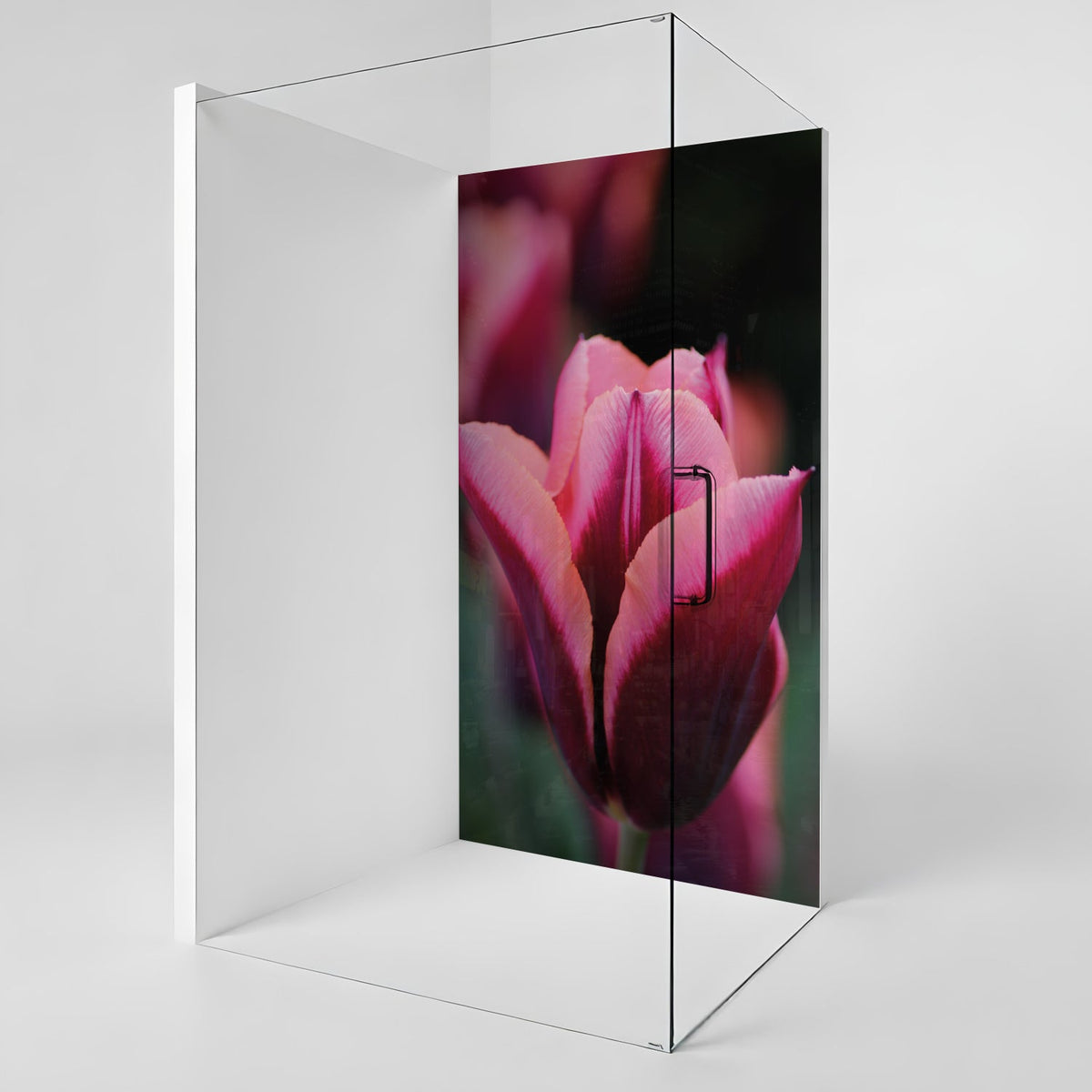 Duschrückwand nach maß