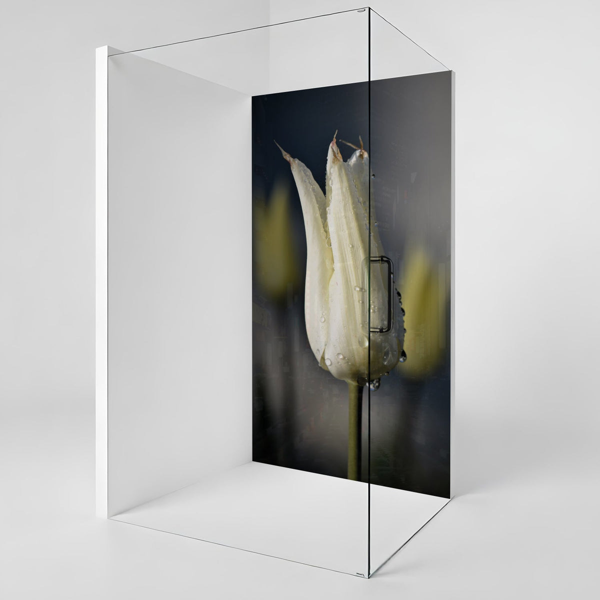 Duschrückwand nach maß